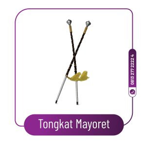 Tongkat Mayoret Marching Band SD
